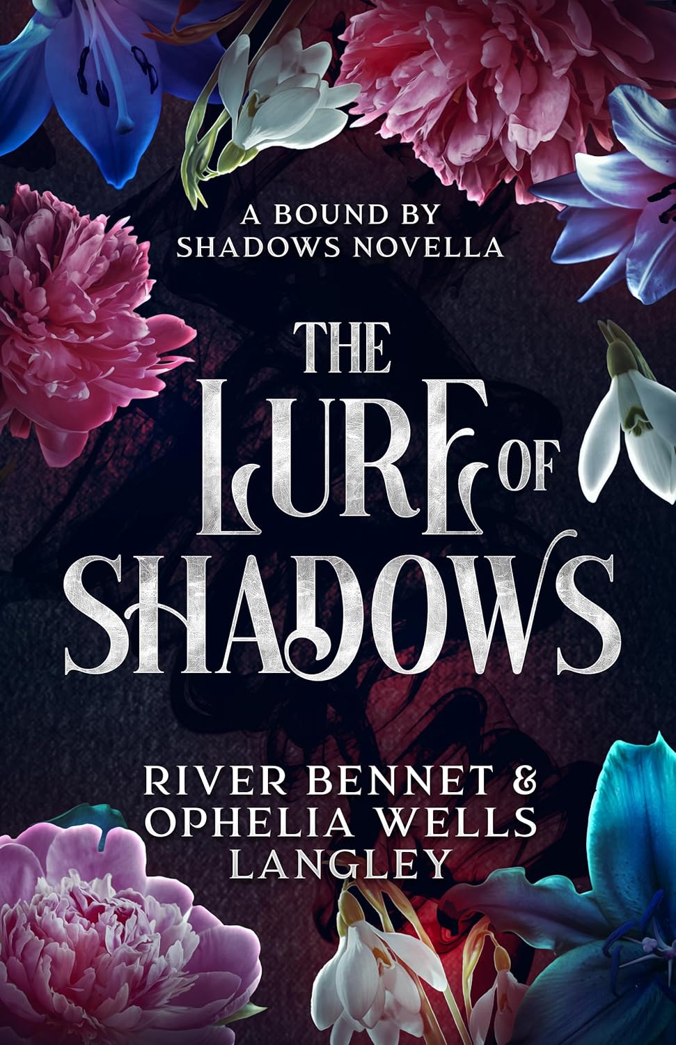 Bound by Shadows book cover 1