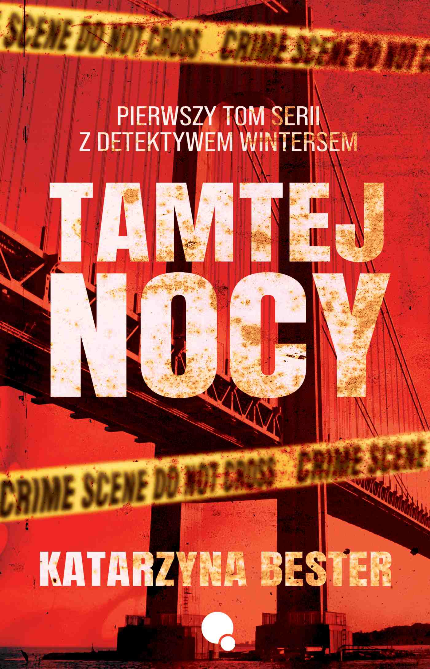 Detektyw Aidan Winters book cover 1