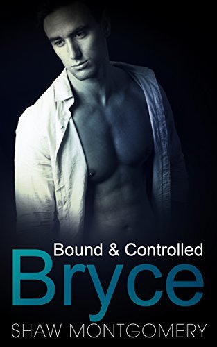 Bryce book cover