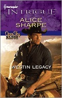 Open Sky Ranch book cover 2