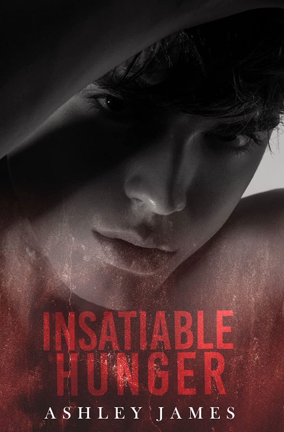 Hidden Affairs book cover 3