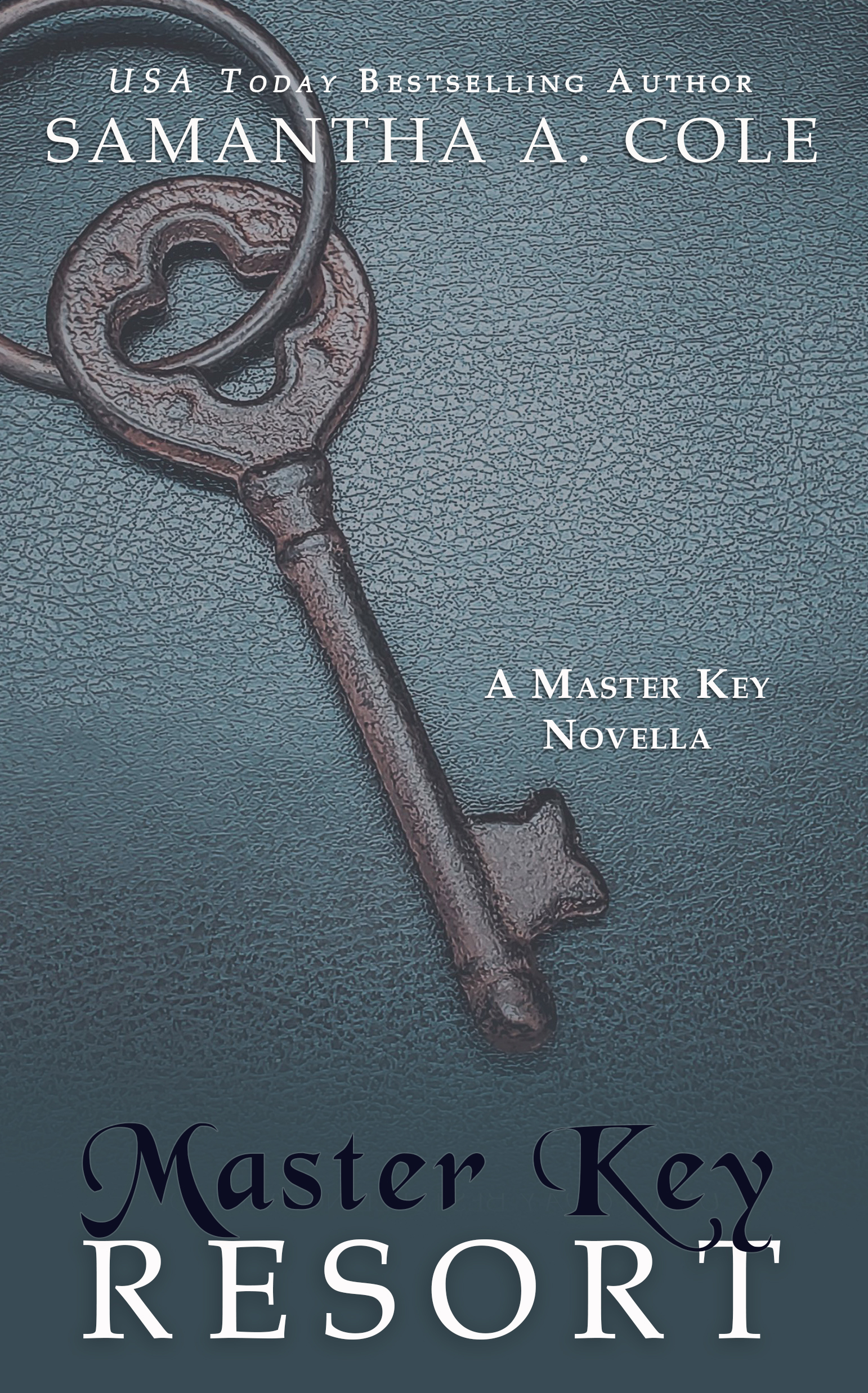 Master Key book cover 1