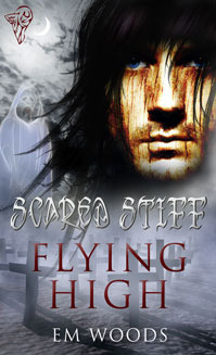 Flying High book cover