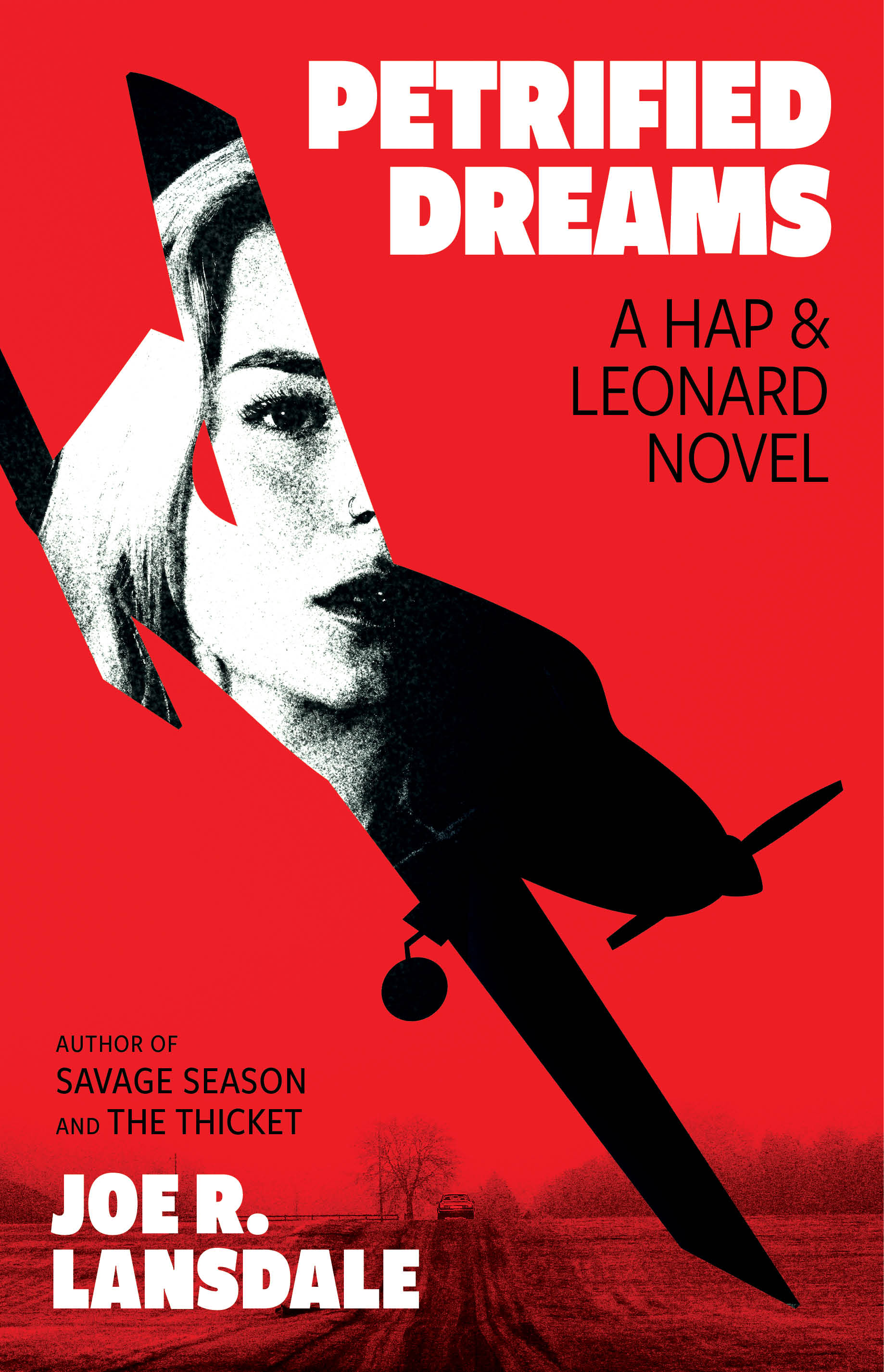 Petrified Dreams book cover