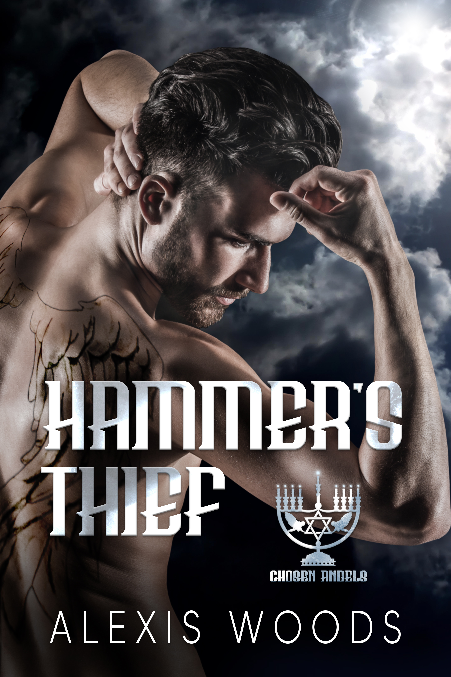 Hammer's Thief book cover
