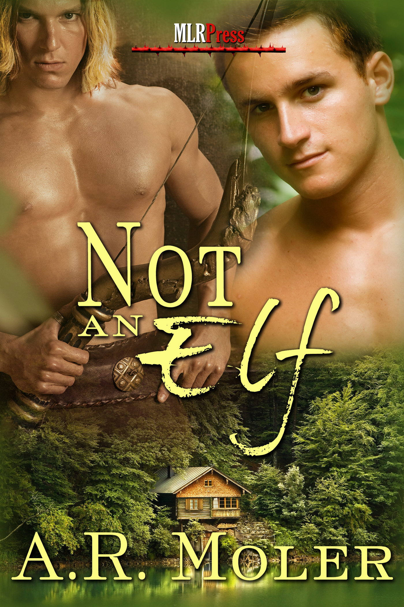 Not An Elf book cover