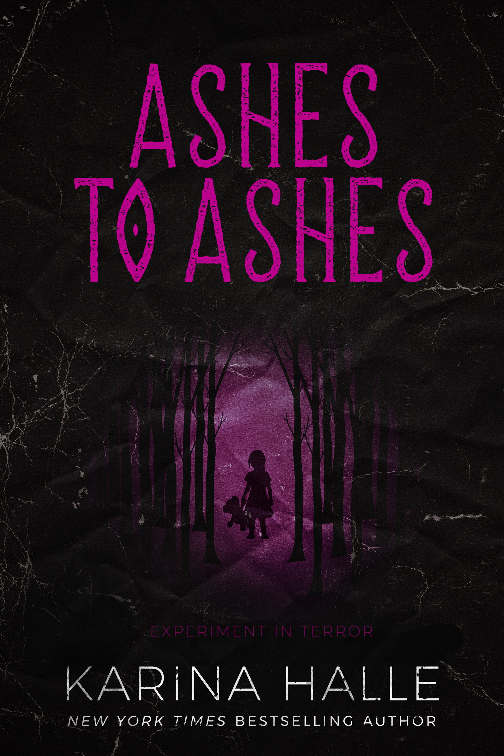 Ashes to Ashes book cover