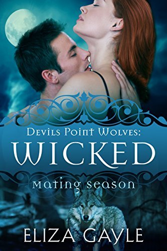 Devils Point Wolves book cover 2