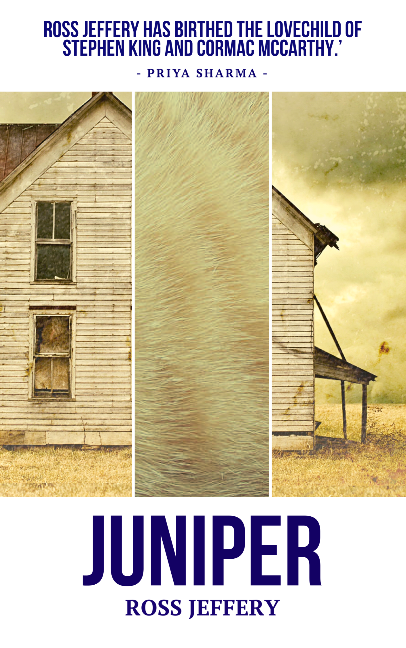 Juniper book cover 1