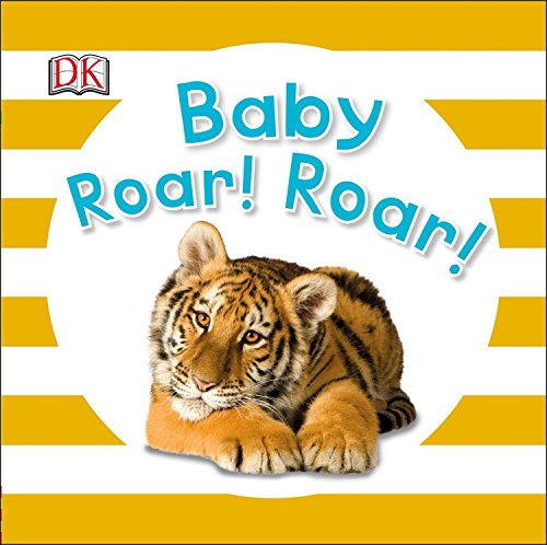 Baby Roar! Roar! book cover