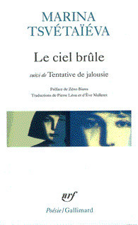Le ciel brûle / Tentative de jalousie book cover