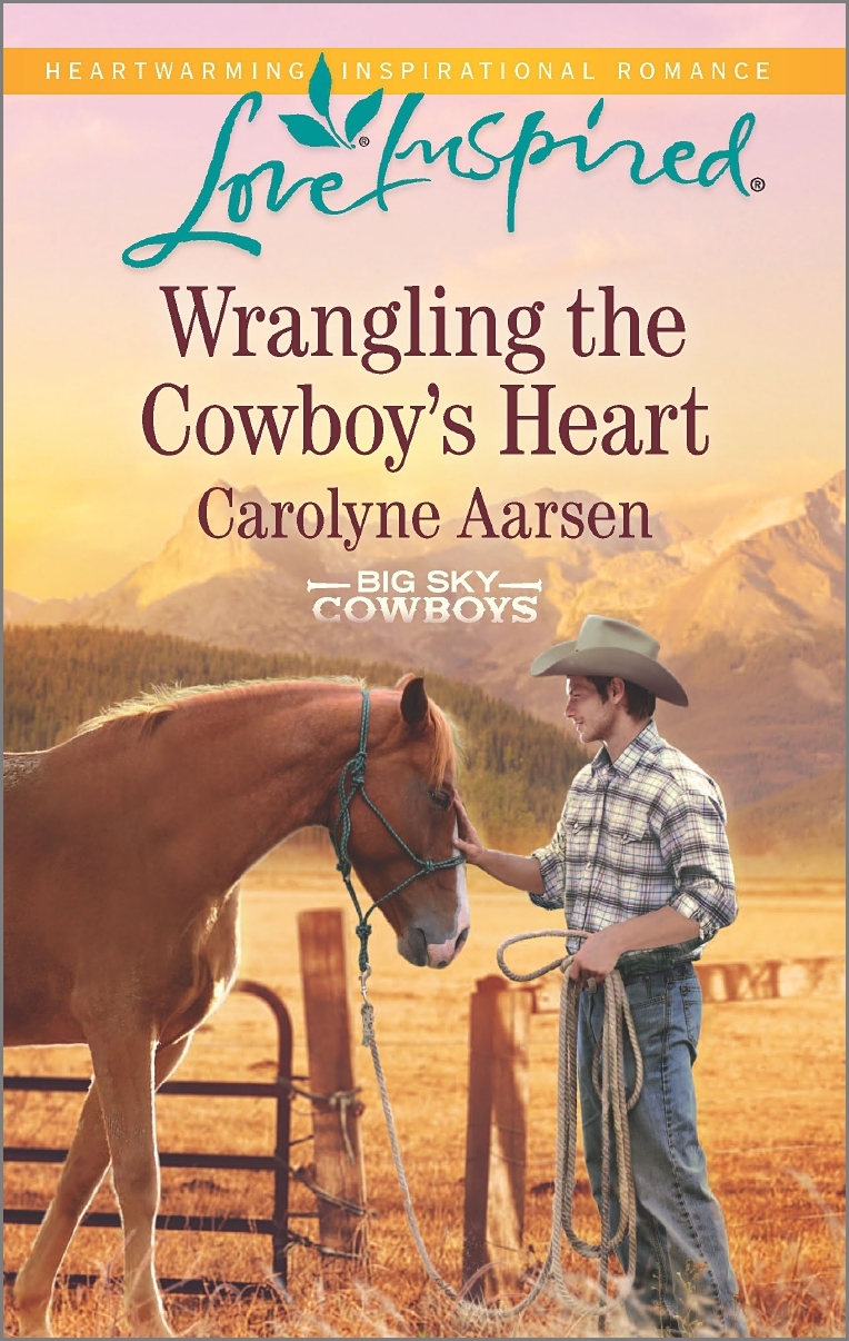 Big Sky Cowboys book cover 1
