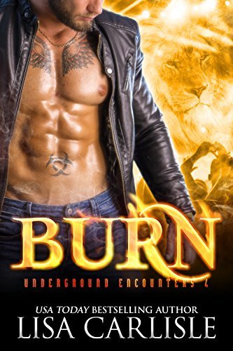 Burn book cover