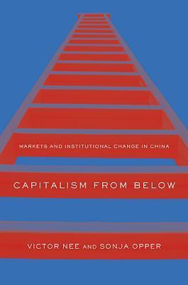 Capitalism from Below book cover