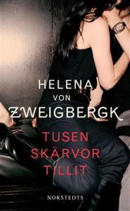 Tusen skärvor tillit book cover