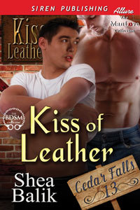 Kiss of Leather book cover