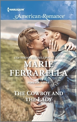 The Cowboy and the Lady book cover
