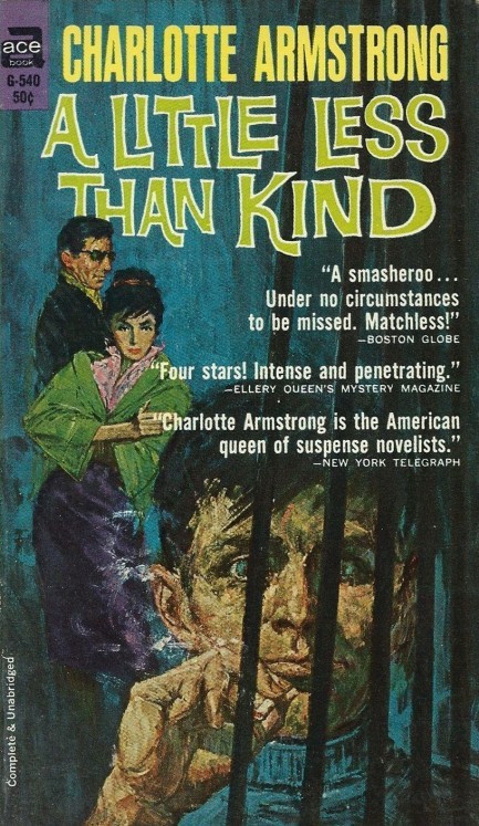 A Little Less Than Kind book cover