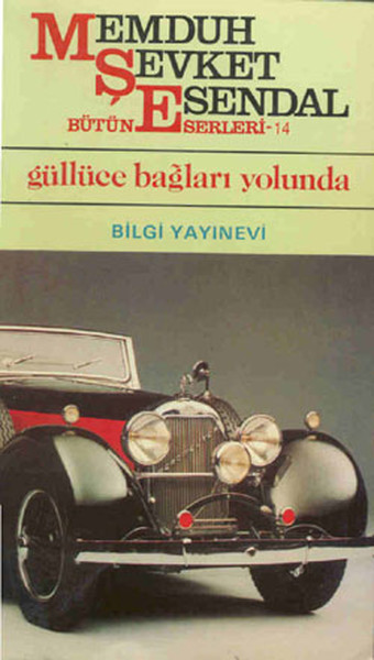 Güllüce Bağları Yolunda book cover