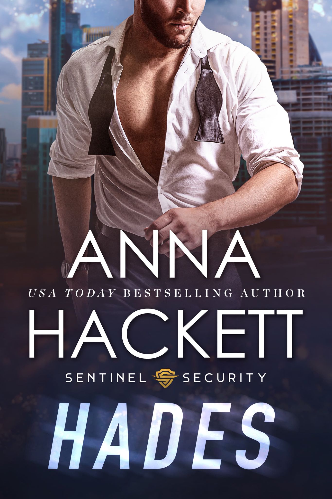 Sentinel Security book cover 2