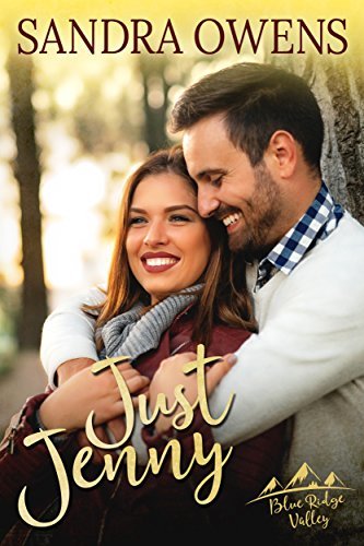 Blue Ridge Valley book cover 1