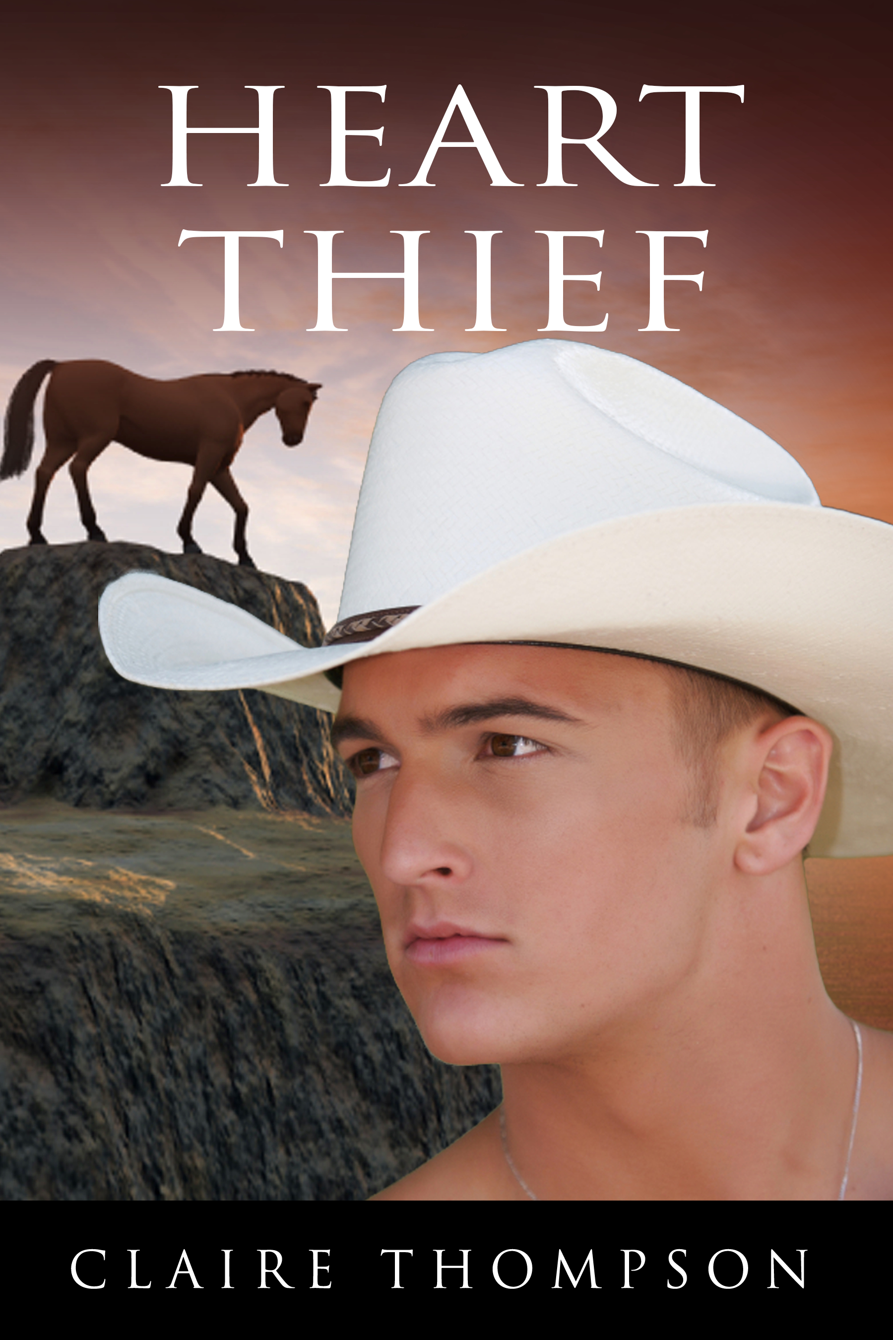 Heart Thief book cover