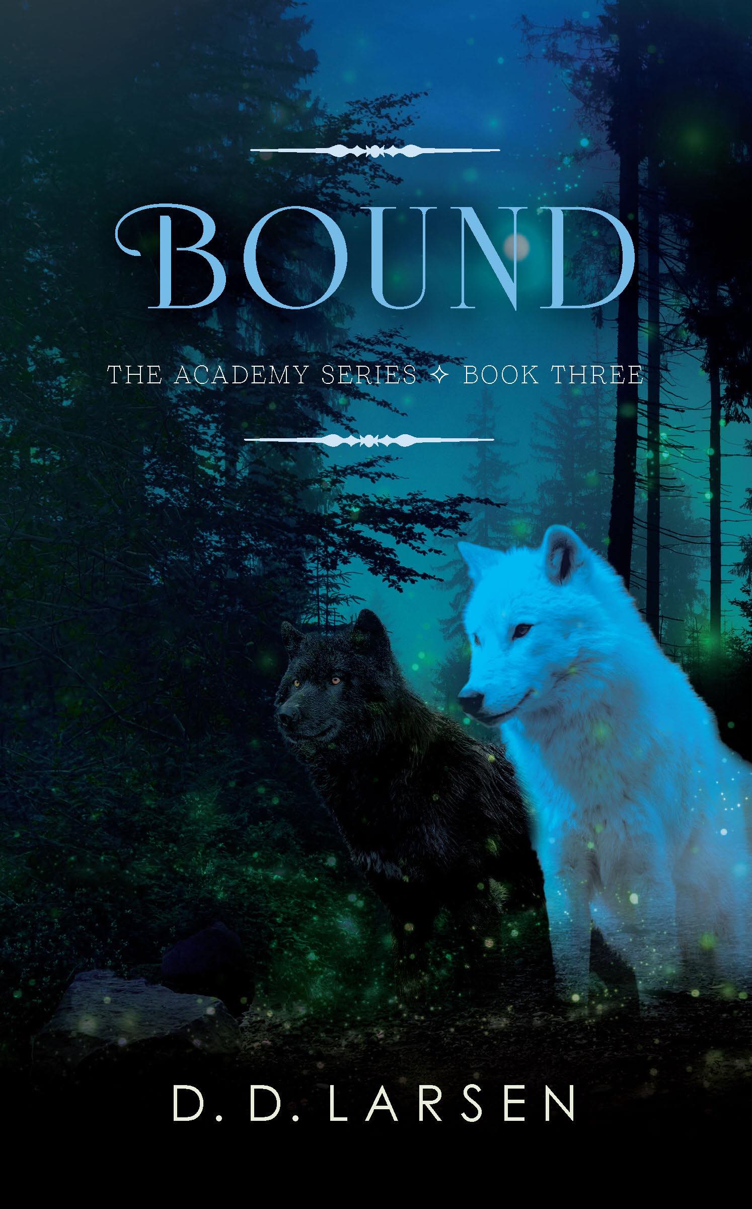 The Academy book cover 3