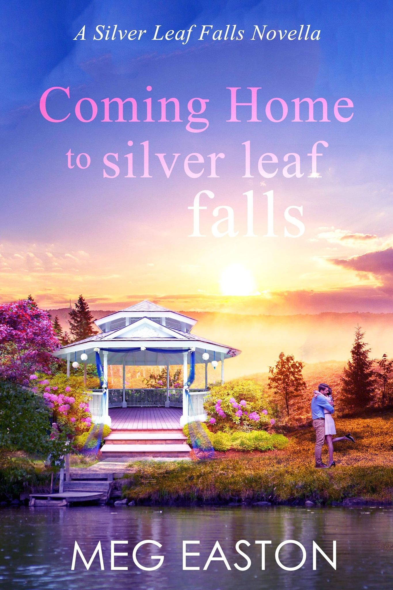 Silver Leaf Falls book cover 1