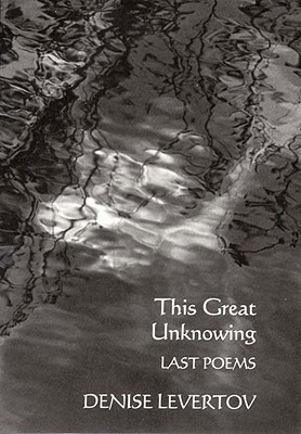 This Great Unknowing book cover