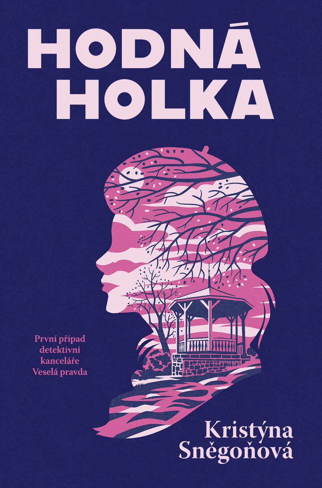 Hodná holka book cover