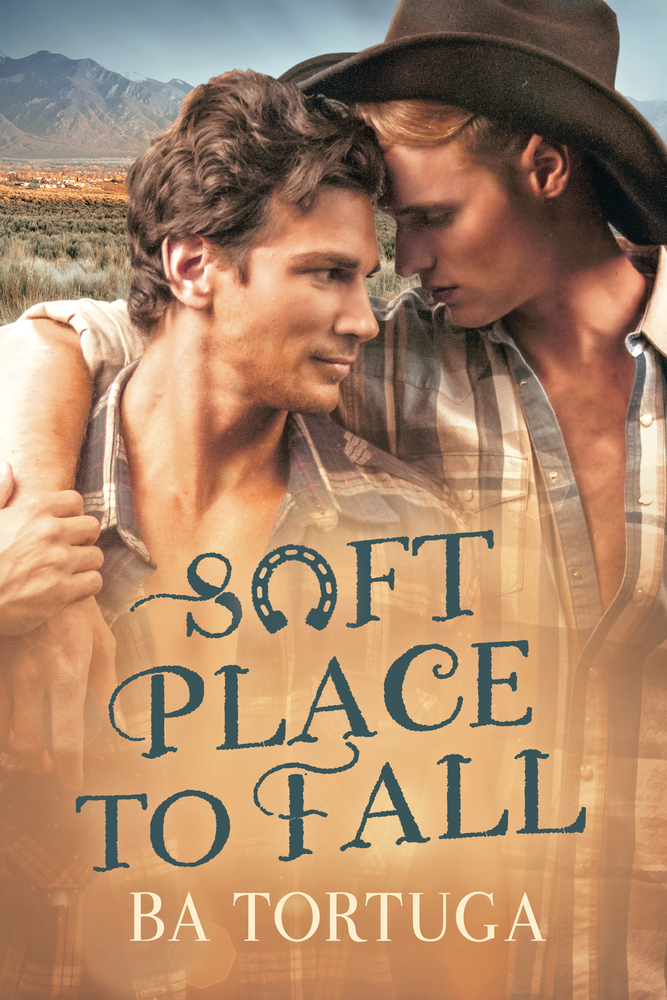 Soft Place to Fall book cover