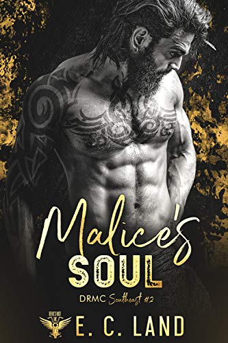 Devil's Riot MC: Southeast book cover 2