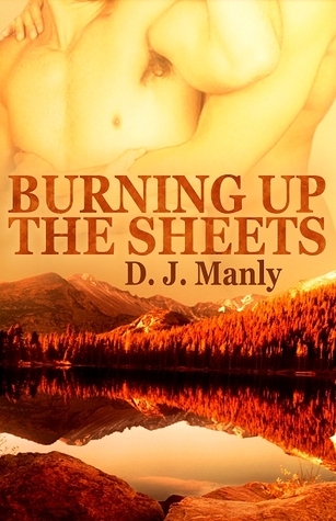 Burning Up The Sheets book cover