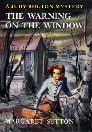 The Warning on the Window book cover