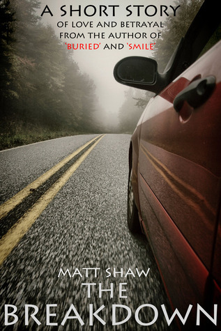 The Breakdown book cover