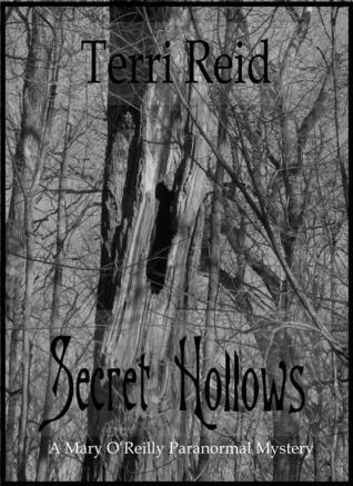 Secret Hollows book cover