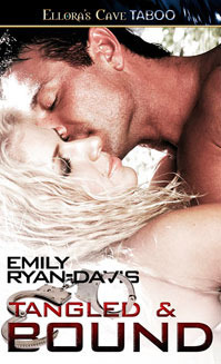 Blue Room VIPs book cover 3