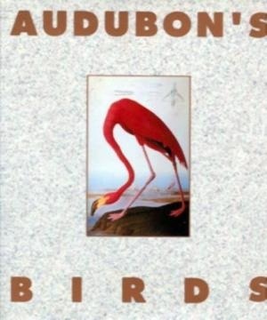 Audubon's Birds book cover