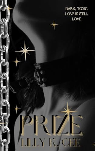 Prize book cover