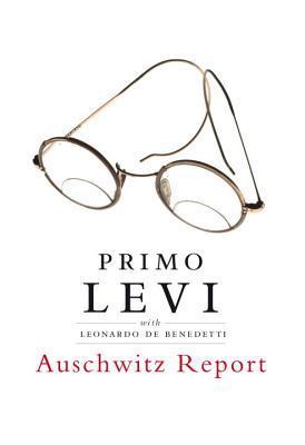Auschwitz Report book cover
