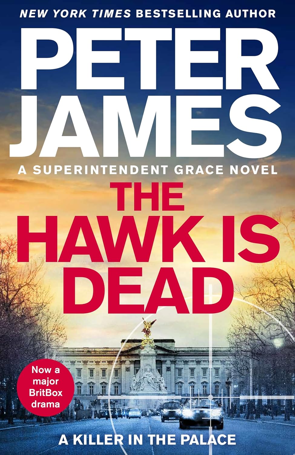 The Hawk Is Dead book cover