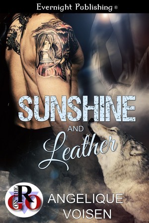 Sunshine and Leather book cover