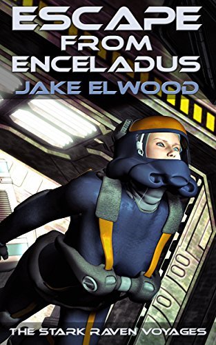 Stark Raven Voyages book cover 1