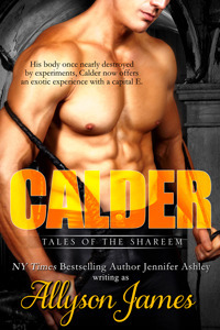 Calder book cover