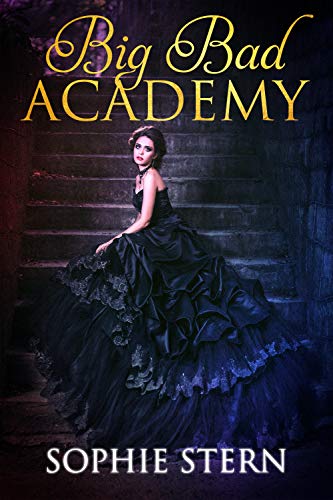 Big Bad Academy book cover
