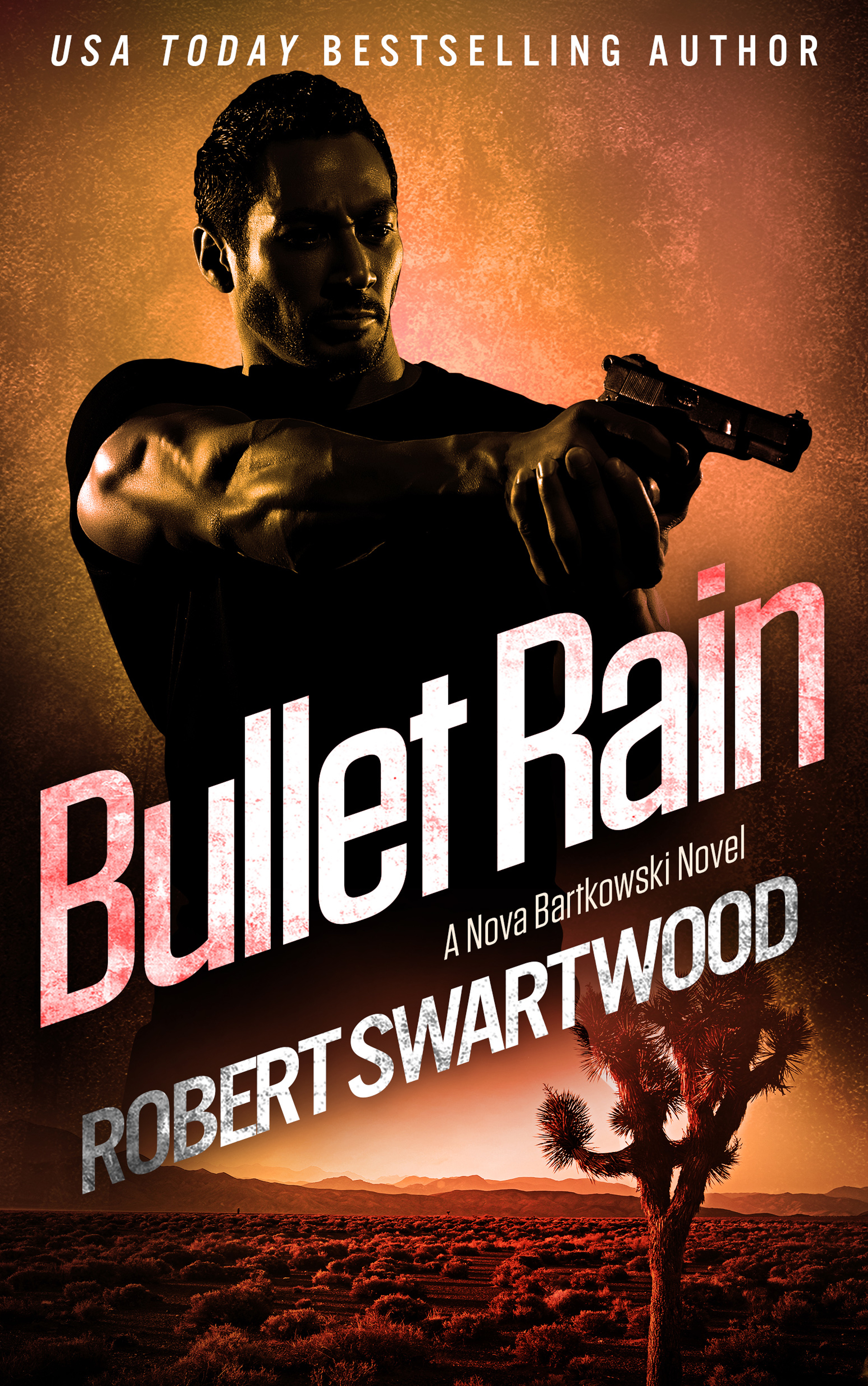 Holly Lin/Nova Bartkowski Thrillers book cover 2