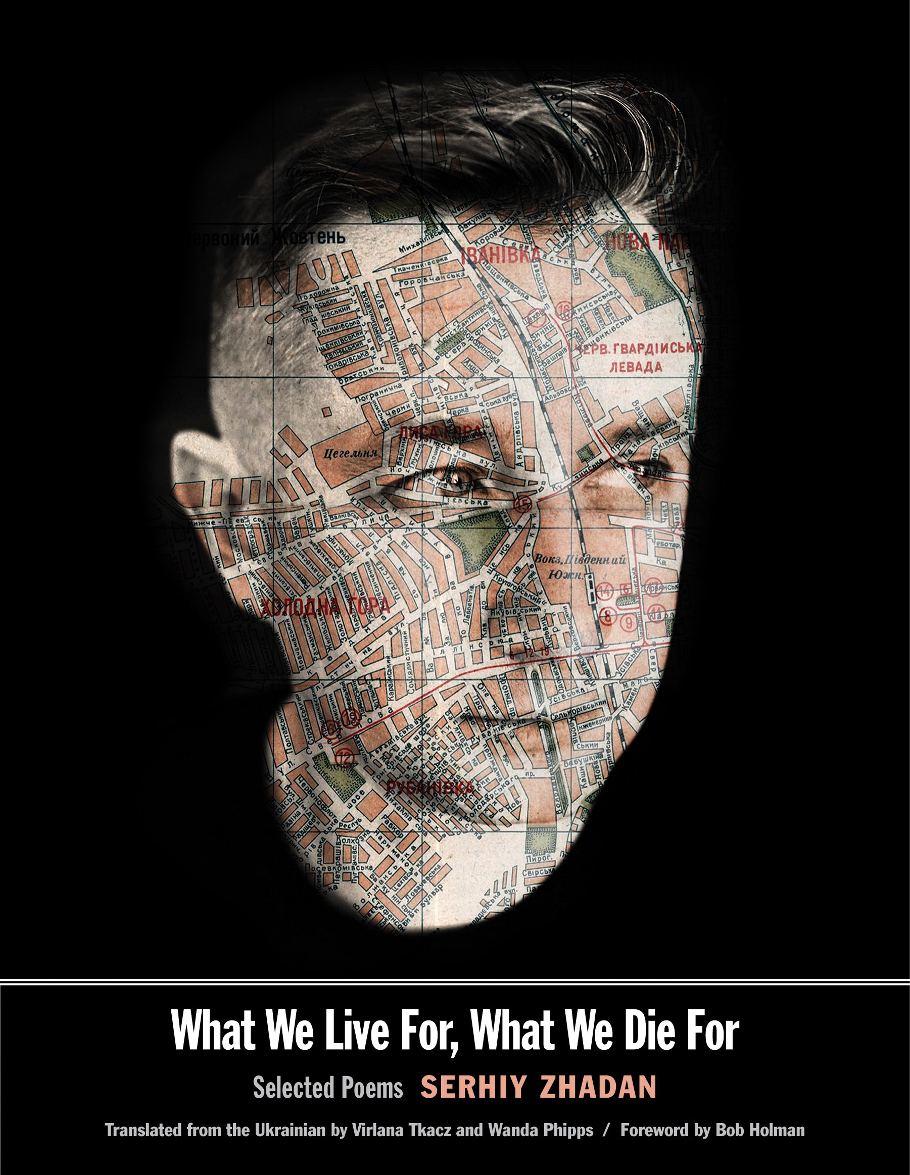 What We Live For, What We Die For book cover