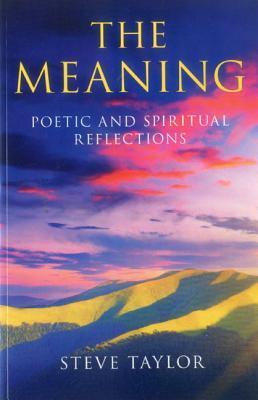 The Meaning book cover