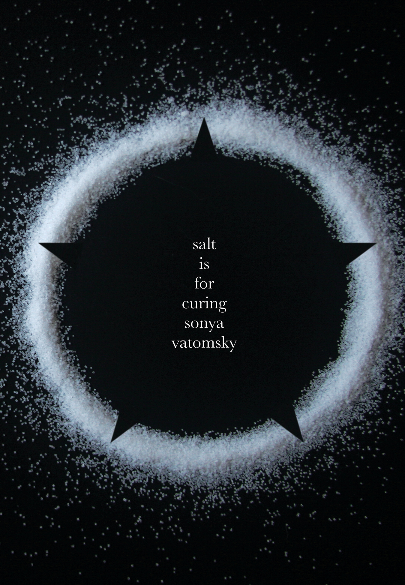 Salt Is For Curing book cover