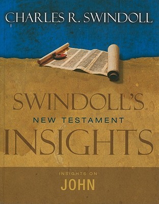 Insights on John book cover